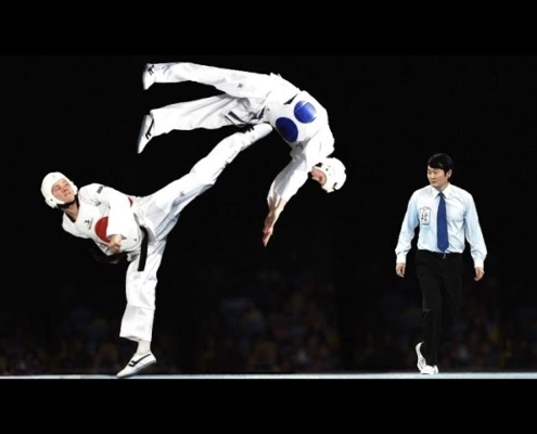 What are the basic moves in Taekwondo