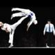 What are the basic moves in Taekwondo